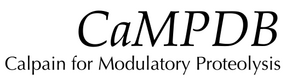 CaMPDB: Calpain for Modulatory Proteolysis Database