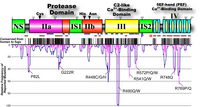 Fig.1.8